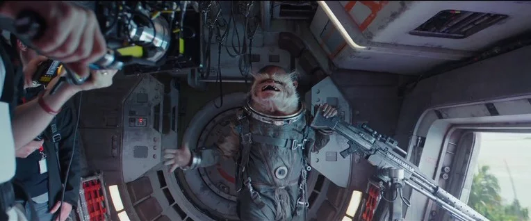 Star Wars Rogue One space monkey