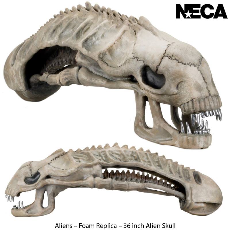 neca-alien-skull