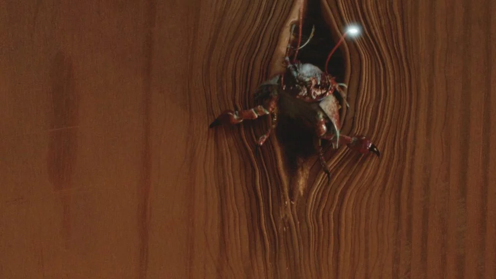 Doctor Who Knock Knock Termite