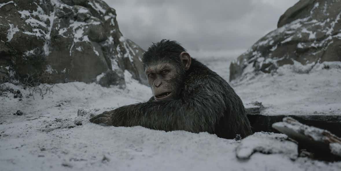 Caesar-from-War-for-the-Planet-of-the-Apes