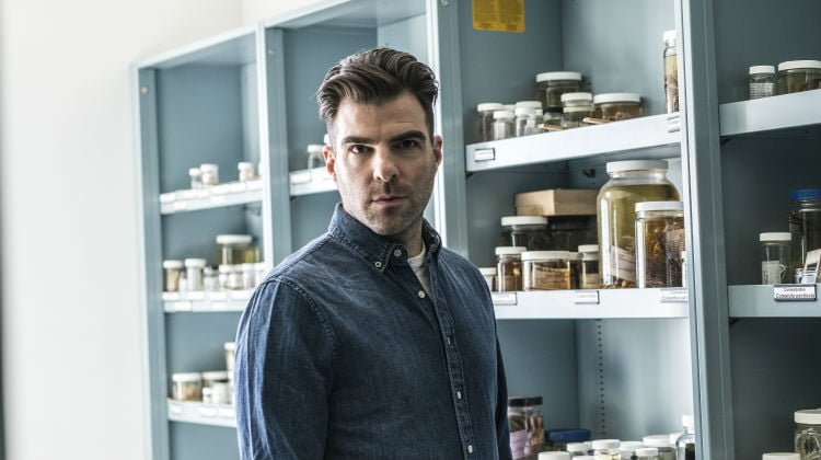 zachary quinto in search of