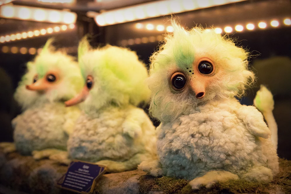 James Gunn Shares What Those Birds Were In 'Guardians of the Galaxy Vol 2'