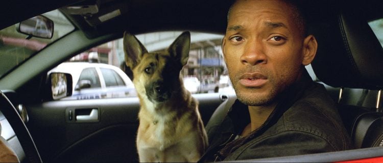 An 'I Am Legend' Sequel Would Have Been "Dumb" According To Director Francis Lawrence