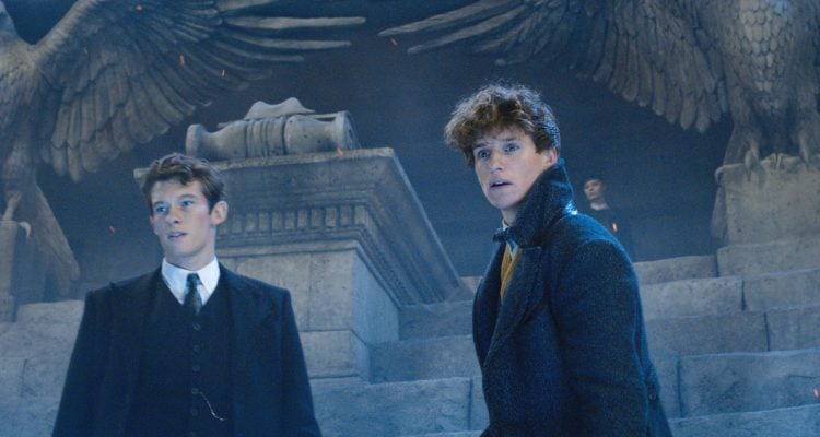 Eddie Redmayne Harry Potter Fantastic Beasts: The Crimes Of Grindelwald