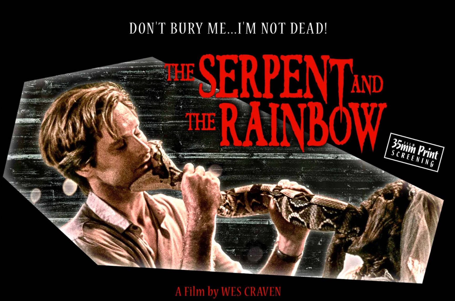 Throwback Thursday The Serpent And The Rainbow