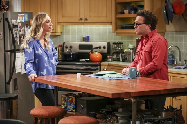 The Big Bang Theory The Propagation Proposition