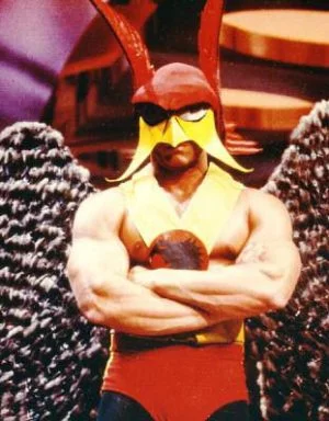 Hawkman in Legends of the Superheroes